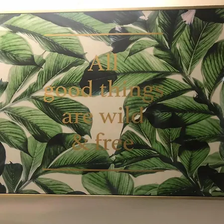 بيت ضيافة Residencial Costa بورتو